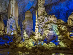 Zhijin Cave National Key Scenic Area - Silver Rain Tree