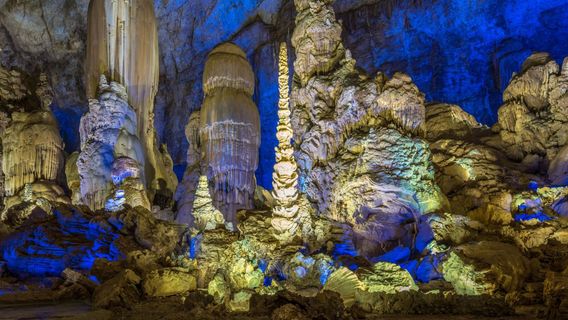 Zhijin Cave National Key Scenic Area - Silver Rain Tree