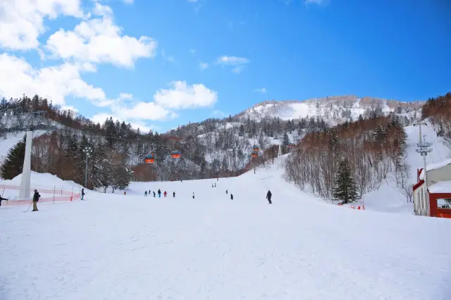 Skiing in Hokkaido