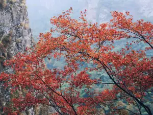 십구봉