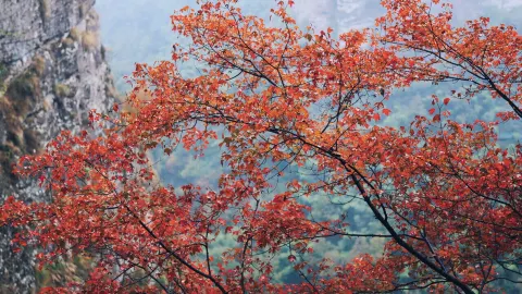 Shi Jiu Feng attraction in Shaoxing