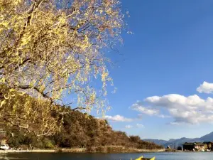 罗马音乐主题餐厅(城中城广场店)