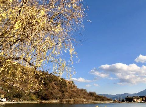 罗马音乐主题餐厅(城中城广场店)