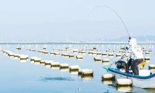 Sea Angling in Dongshan Island