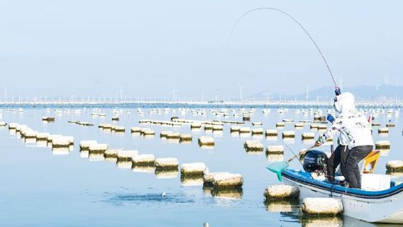 Sea-fishing in Dongshan Island
