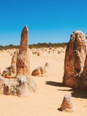 The Pinnacles Desert