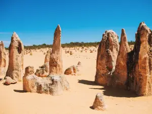 The Pinnacles Desert