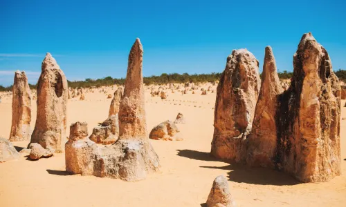 The Pinnacles Desert