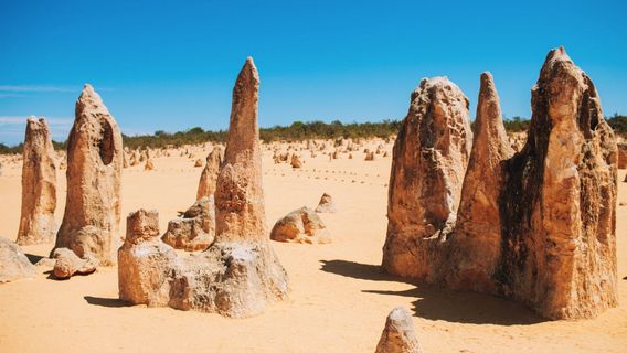 The Pinnacles Desert