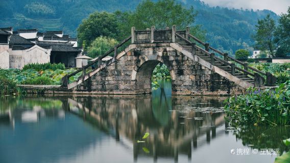 Private Day Tour from Huangshan to Chengkan, Tangmo and Xixi Nan Ancient Village