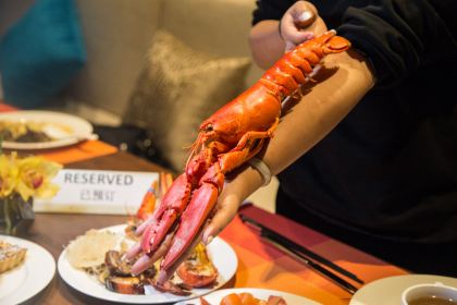 龍門富力希爾頓度假酒店西餐廳