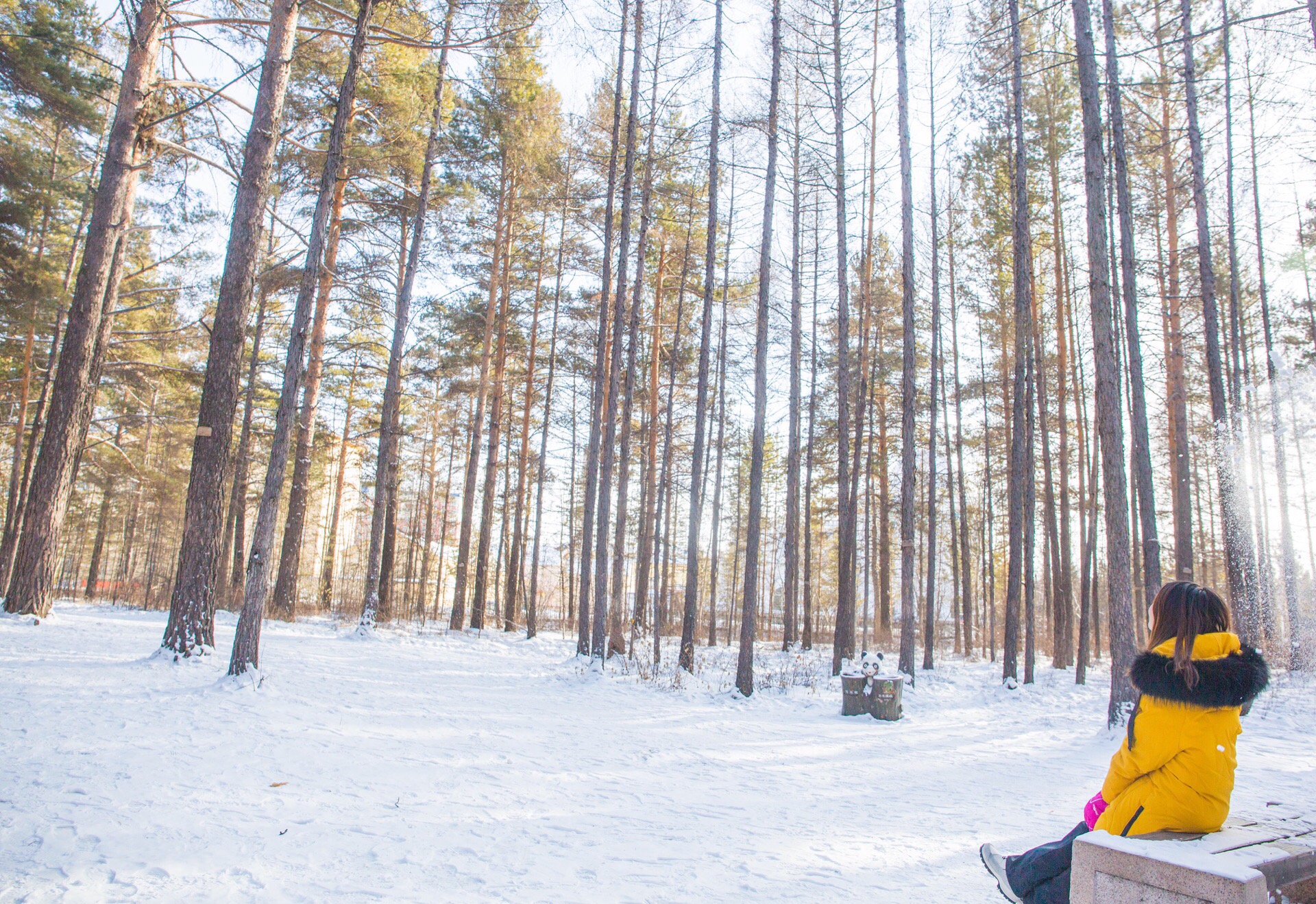 Mohe 2023 Top Things to Do Mohe Travel Guides Top Mohe