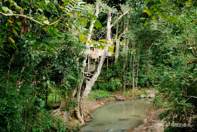 Hiking in Xishuangbanna