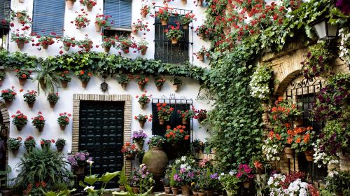 Calleja de las Flores