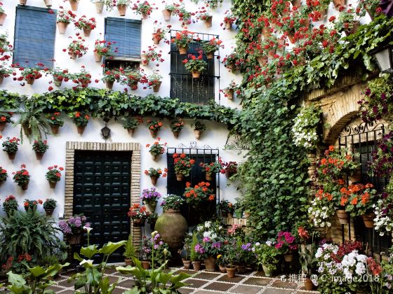 Calleja de las Flores