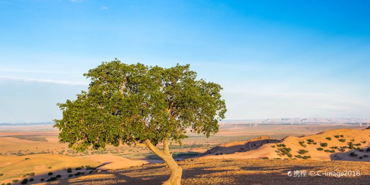 Chifeng Buridun Desert Tourist Area