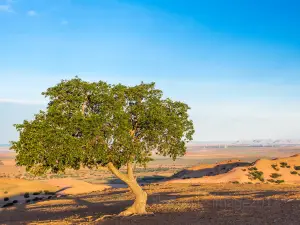 Chifeng Buridun Desert Tourism Area