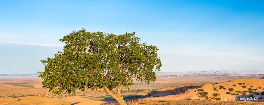 Chifeng Buridun Desert Tourism Area
