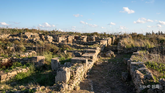 Ugarit