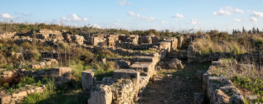 Ugarit