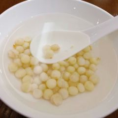 Song helou User Photo