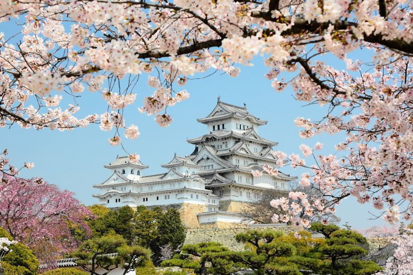 Compare 5 airports near Himeji