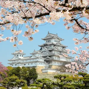姫路城