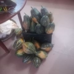 香江农家乐 User Photo