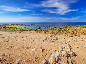 煙臺桑島