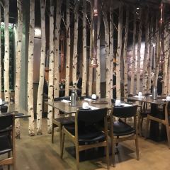 Maple Tree House User Photo