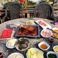 鲜龙井火锅公园(南山店) User Photo