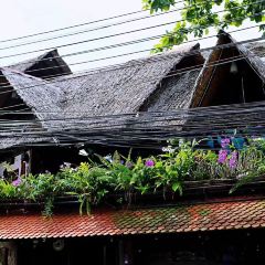 Natural Restaurant User Photo