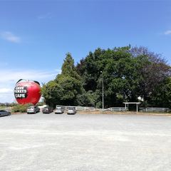 Waitomo Homestead ảnh của người dùng