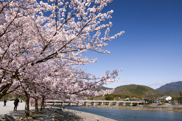 日本京都三千院+嵐山一日遊【小眾深度遊丨京都嵐山嵯峨小火車】
