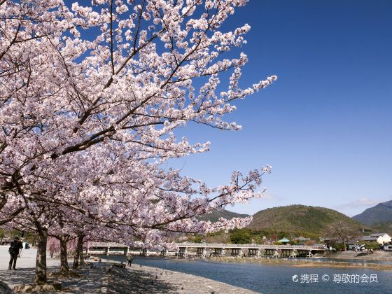 Arashiyama