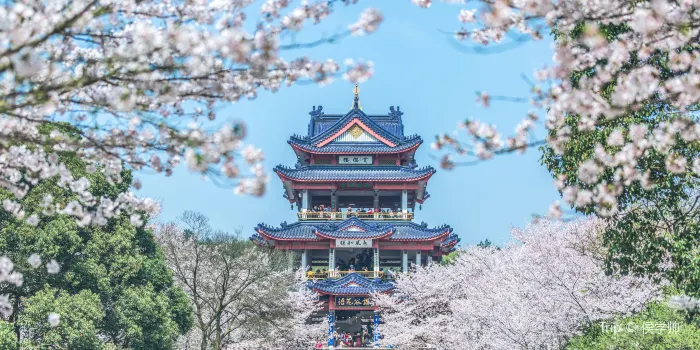 黿頭渚 image 0