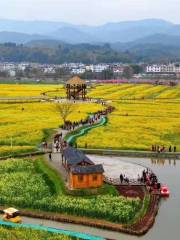 冷杉良田花海影視基地