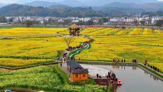 Lengshan Liangtian Huahai Yingshi Base