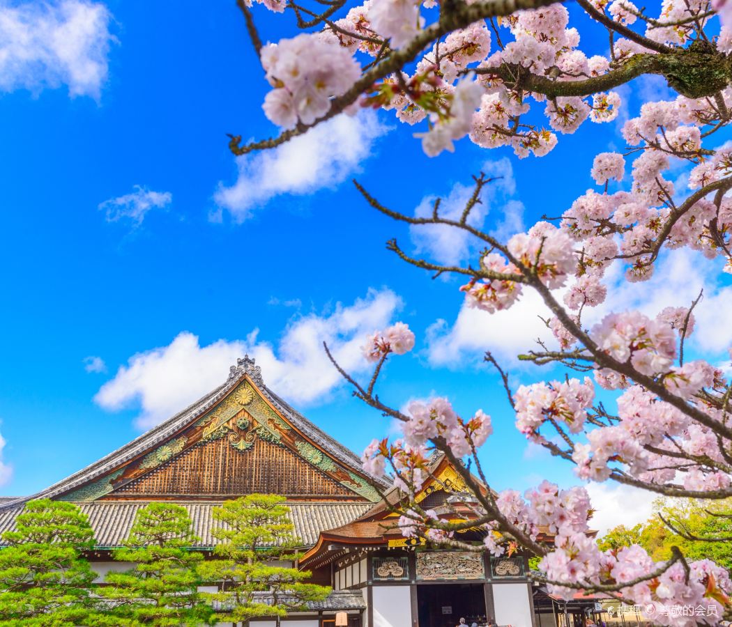 Nijo Castle