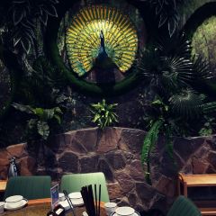 JUNCAI WILD MUSHROOM HOT POT User Photo