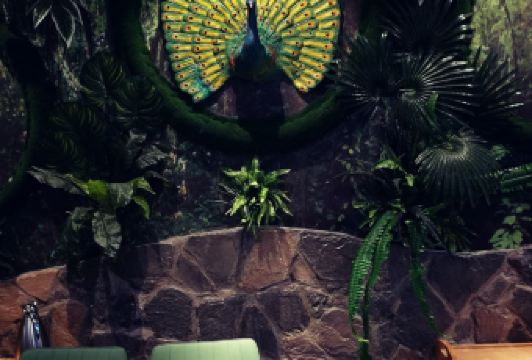 JUNCAI WILD MUSHROOM HOT POT User Photo