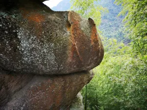 교룡 대협곡