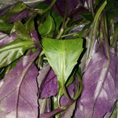 丁记火锅·酸汤牛肉 User Photo