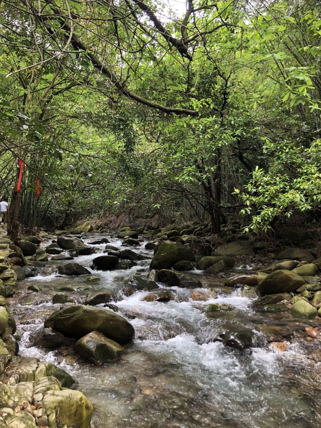 Ziyungu