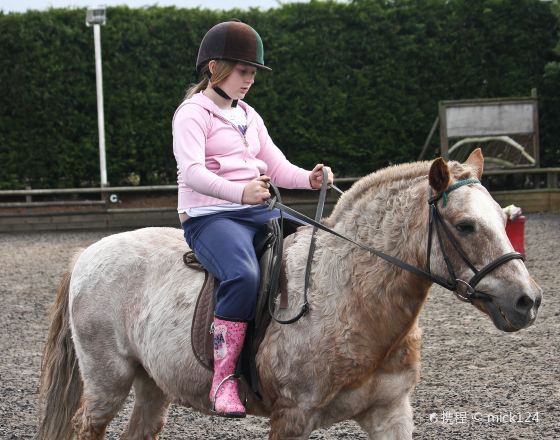 温斯康比 自由行套票