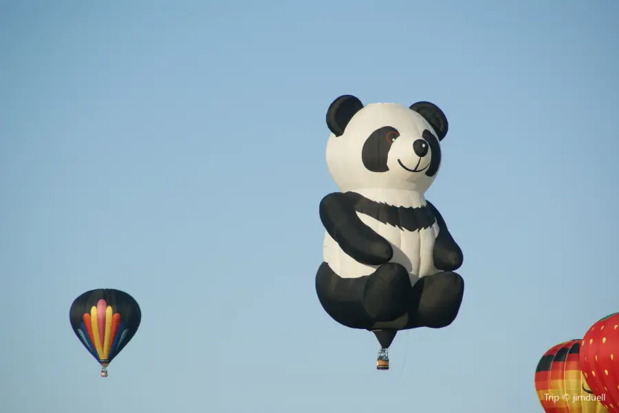 Adirondack Balloon Festival