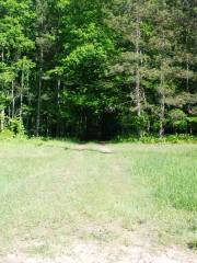 Huron-Manistee National Forests