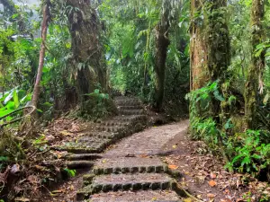Las Quebradas Biological Center