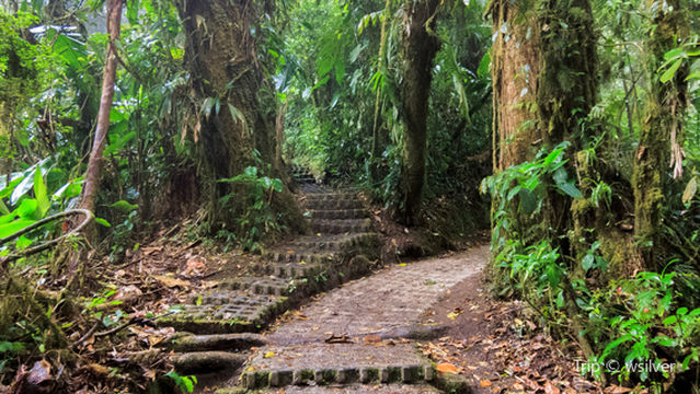 Las Quebradas Biological Center