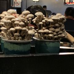 Lao Wang Guo Wu Liao Li(Lian Yang Plaza Store) User Photo